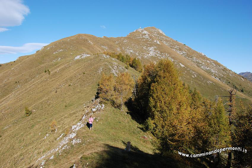 09 11608 Passo di Monte Colle.JPG